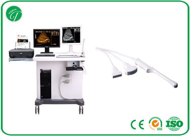 China B / M Mode Pregnancy Ultrasound Scanner , Plastic Cover Trolley Ultrasound Scanner supplier
