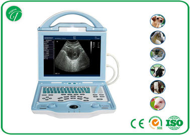 China Portable Vet Ultrasound Machine For Animals / Dog / Cattle Veterinary Ultrasound Equipment supplier