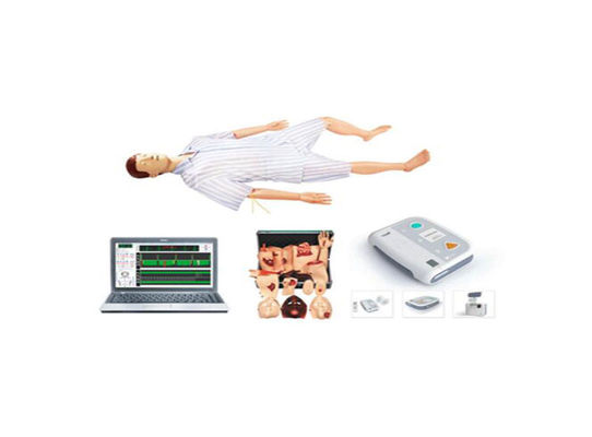 China for sale Cheap medical teaching CPR manikin and first aid training dummy supplier