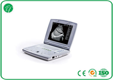 Slim Design Laptop Vet Ultrasound Machine 10.4 Inch With Single Probe Socket supplier