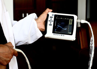 Adjustable Vet Ultrasound Machine For Animals Cattle / Cat / Dog , Real Time Dynamic supplier