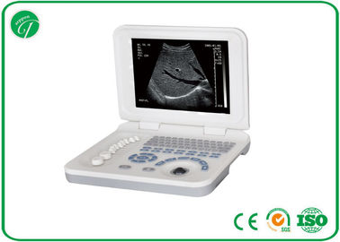 Continuous Playback Digital Vet Ultrasound Machine Displayed Under B Mode supplier