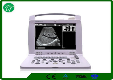 Full Screen Laptop Vet Ultrasound Machine 2 Probe Connectors Micro Computer Control supplier