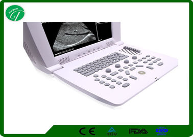 Full Screen Laptop Vet Ultrasound Machine 2 Probe Connectors Micro Computer Control supplier