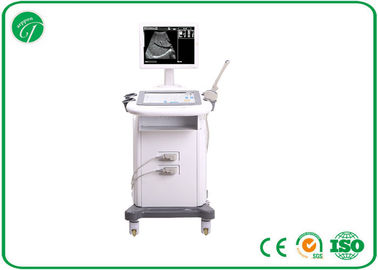 Real Time Shift B Mode Ultrasound Scanner Large Screen Monitor Soft Keyboard supplier