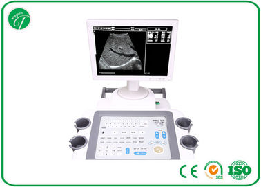 Real Time Shift B Mode Ultrasound Scanner Large Screen Monitor Soft Keyboard supplier