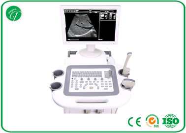 Adjustable Trolley Ultrasound Scanner , Handheld Ultrasound Scanner Thermal Video Printer supplier