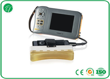 Linear Electronic Portable Veterinary Ultrasound , Livestock Ultrasound Machine LCD Monitor supplier