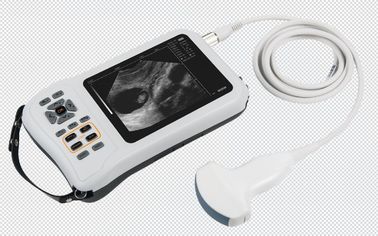 Light Weight B Mode Ultrasound Scanner Up / Down Reversal For Medical / Clinical Diagnosis supplier