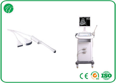 14 Inch Examining Liver B Mode Ultrasonography 186 / 236 Frames For Hospitals / Clinics supplier