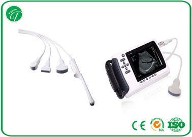 Portable Pregnancy Ultrasound Scanner , Laptop Ultrasound Scanner AC Adapter supplier
