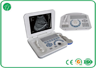Human B Mode ultrasonic scanning , Laptop pregnancy Ultrasound Scanner Handheld supplier