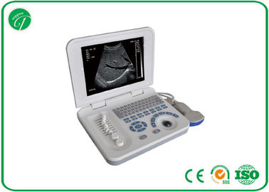 Human B Mode ultrasonic scanning , Laptop pregnancy Ultrasound Scanner Handheld supplier