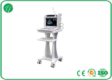 12 &quot; LCD B Mode Ultrasound Scanner , Digital high resolution ultrasound CE supplier