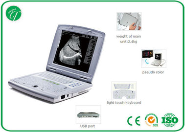 Intelligent TGC Control B Mode Ultrasound Scanner , medical ultrasound machine in pregnancy supplier
