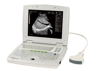 Intelligent TGC Control B Mode Ultrasound Scanner , medical ultrasound machine in pregnancy supplier