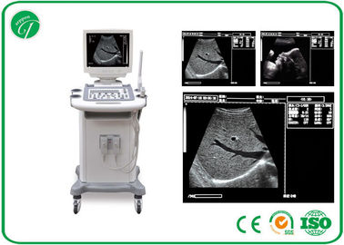 5 level Full Digital Trolley b mode ultrasonography , 14 Inch ultrasound imaging equipment supplier