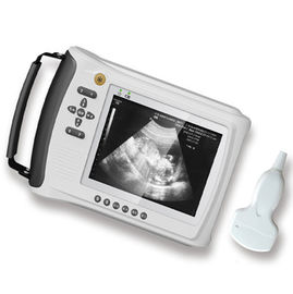 Handheld Adjustable B Mode Ultrasound Scanner Human use Only 700g supplier