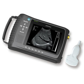 Handheld Adjustable B Mode Ultrasound Scanner Human use Only 700g supplier