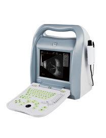 Portable Digital Ultrasound Scanner , Fetal Color Doppler Ultrasound In Pregnancy supplier
