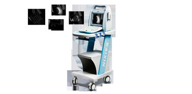 ROSH 10.4‘ Ophthalmic A/B Ultrasound Scanner AM-ODU8 with imported probe/transducer supplier