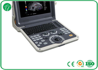 12'' 3D / 4D Color Doppler Ultrasound Scanner With Electronic Linear / Convex 2 Probe supplier