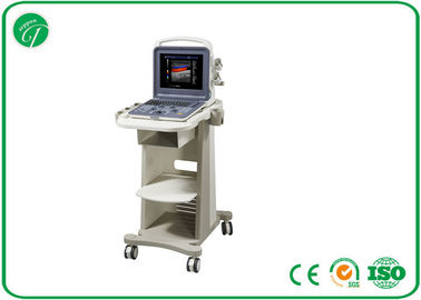 12'' 3D / 4D Color Doppler Ultrasound Scanner With Electronic Linear / Convex 2 Probe supplier