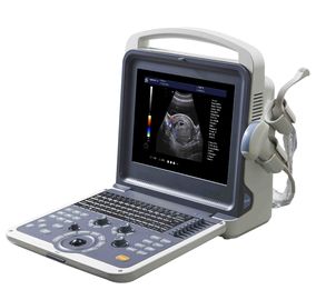 12'' 3D / 4D Color Doppler Ultrasound Scanner With Electronic Linear / Convex 2 Probe supplier