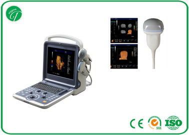 Handheld 4D Color Doppler Ultrasound Scanner With ITouch 2 USB Ports supplier