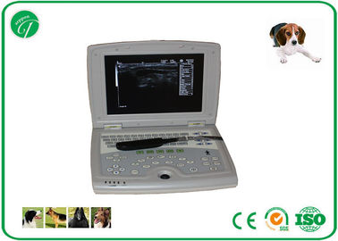 Laptop Bovine / Horse Vet Ultrasound Machine B Mode Veterinary Ultrasound Scanner supplier