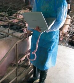 Laptop Bovine / Horse Vet Ultrasound Machine B Mode Veterinary Ultrasound Scanner supplier
