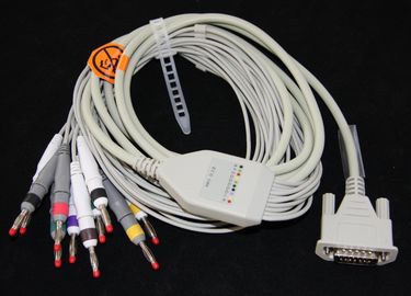 12 Lead Portable ECG Machine Single Channels For Electrocardiogram supplier