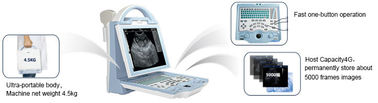 Portable Vet Ultrasound Machine For Animals / Dog / Cattle Veterinary Ultrasound Equipment supplier