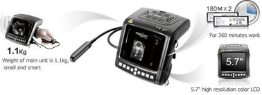 High Resolution Livestock Hand Held Ultrasound Machine For Home Use 5.7 Inch supplier