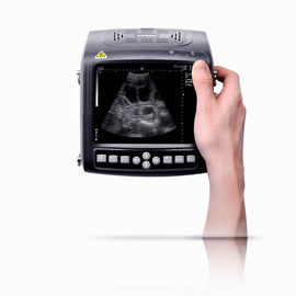 High Resolution Livestock Hand Held Ultrasound Machine For Home Use 5.7 Inch supplier