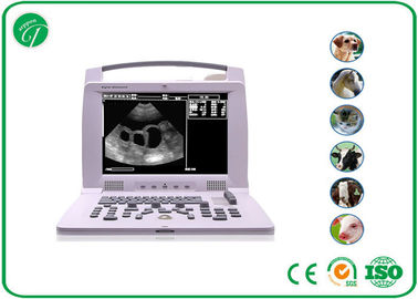 Small Animal Vet Ultrasound Machine With 5 Inch TFT LCD Monitor 120mm-220mm Scan Depth supplier