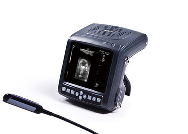 Palm - Size Hand Held Ultrasound Machine , Animal Ultrasound Scanner TFT LCD supplier