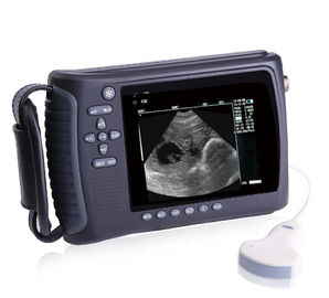 Linear / Convex Probe Vet Ultrasound Diagnostic Equipment For Ovine , Bovine , Equine supplier