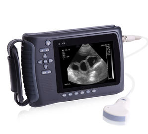 Linear / Convex Probe Vet Ultrasound Diagnostic Equipment For Ovine , Bovine , Equine supplier