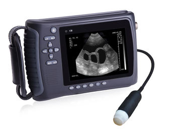 Vet Ultrasound / Mini Veterinary Ultrasound Diagnostic Machine For Swine / Dog supplier