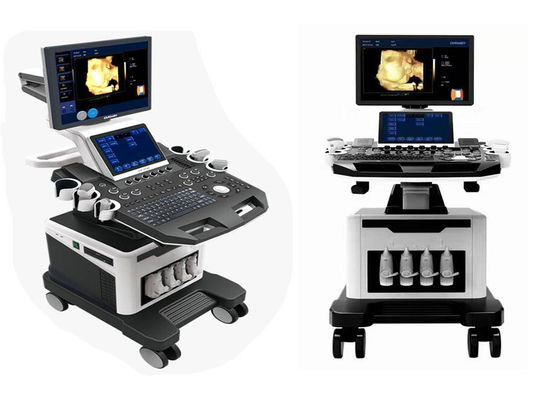 High-end cardiac real time 4D color doppler diagnostic ultrasound system 2D 3D 4D Echocardiography Ecografo Ultrasound supplier