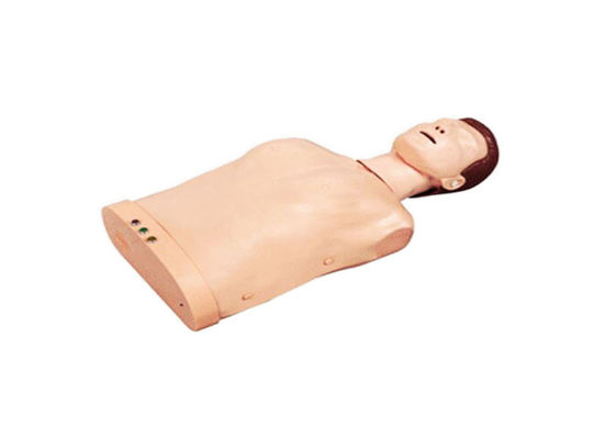 Half Body CPR Training Manikin, Medical CPR Dummy Simple Type Computer simulation of bust CARDIopulmonary CPR Manikin supplier