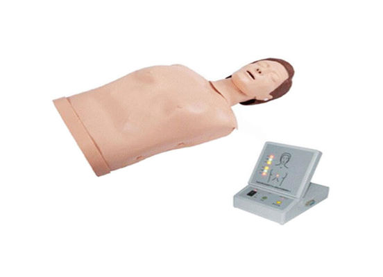 Half Body CPR Training Manikin, Medical CPR Dummy Simple Type Computer simulation of bust CARDIopulmonary CPR Manikin supplier