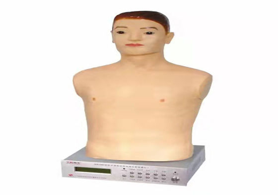 Half Body CPR Training Manikin, Medical CPR Dummy Simple Type Computer simulation of bust CARDIopulmonary CPR Manikin supplier
